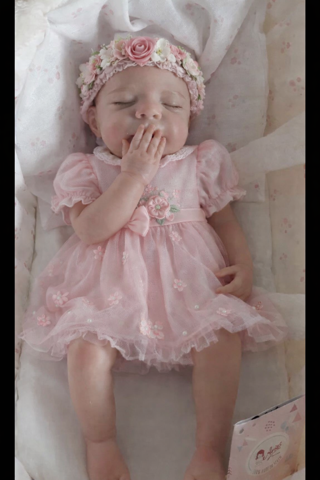 file_000000004d687246bdb55769b2117571